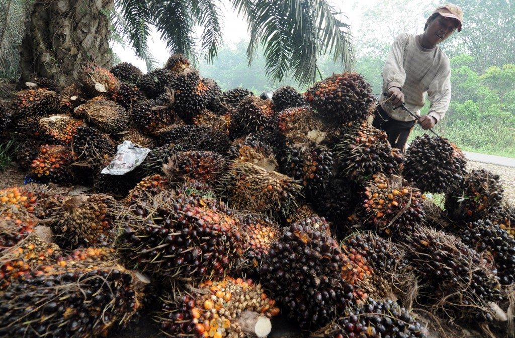 Minyak kelapa sawit menjadi industri makanan yang banyak diekspor ke negara