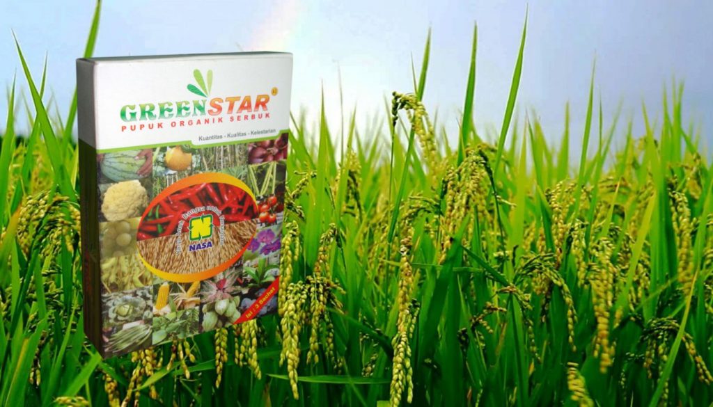 pupuk nasa untuk padi dari bahan organik